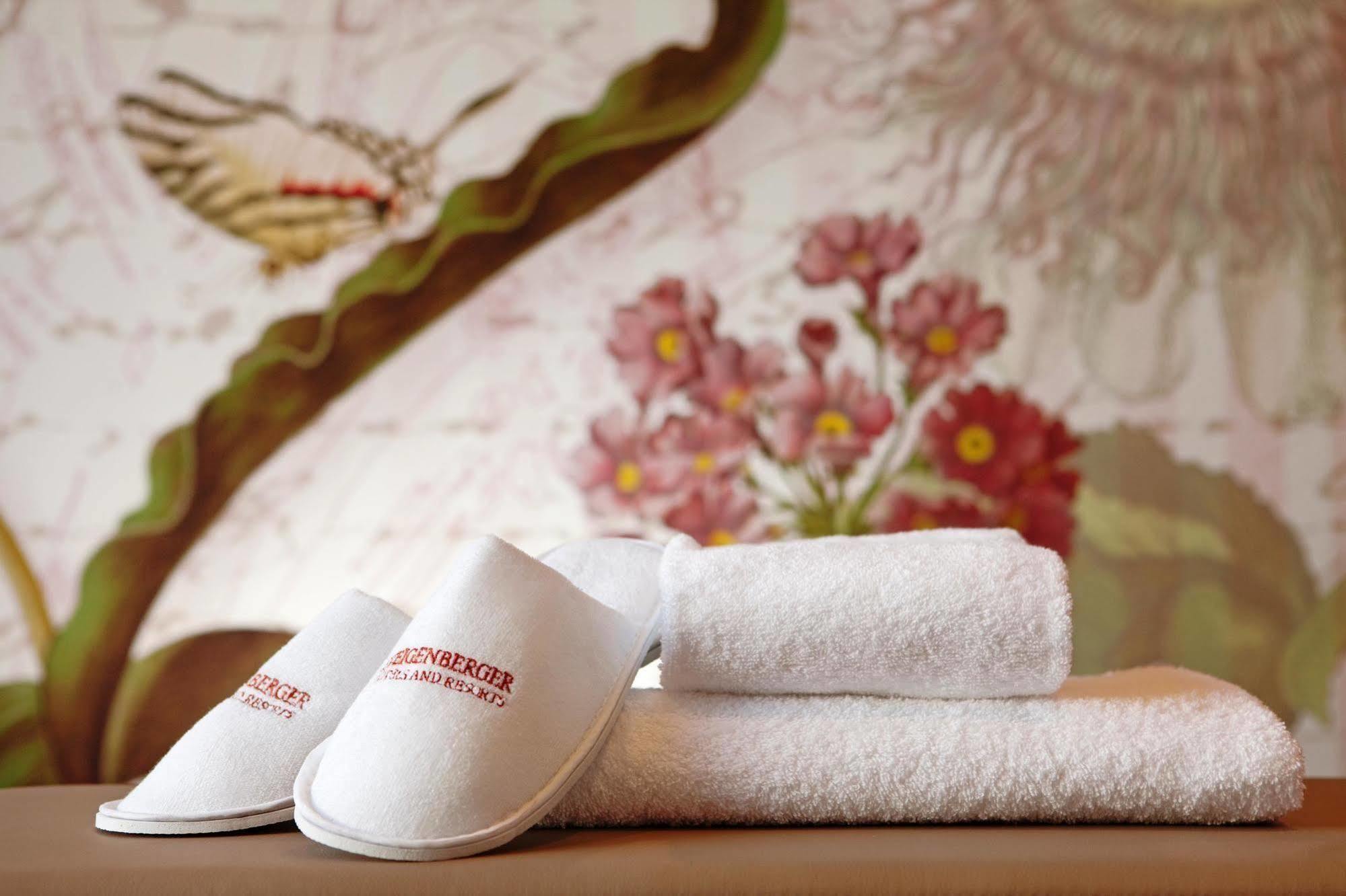 Отель Steigenberger Parkhotel 4*